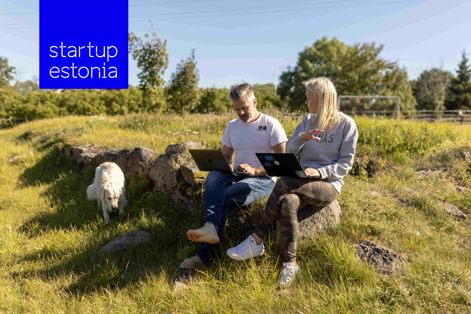 Startup Estonia Ekspertnõustamine